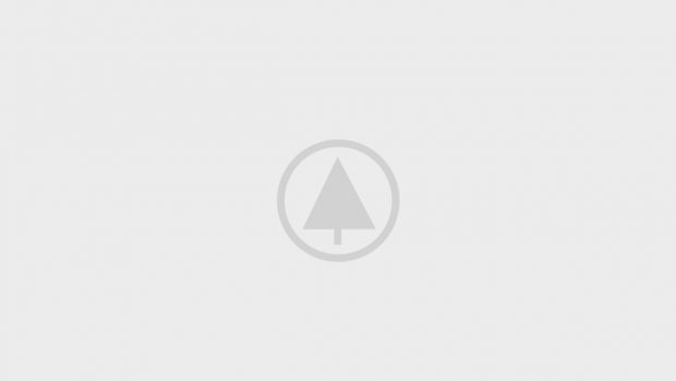wood-gallery-placeholder-3 wood-gallery-placeholder-3