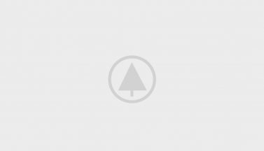 wood-portfolio-placeholder wood-portfolio-placeholder